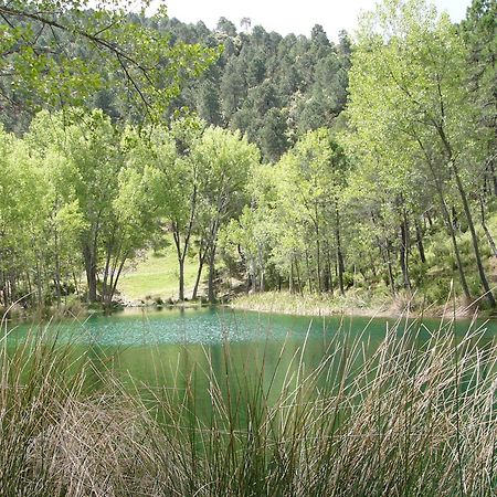 Vila El Enebro Villaverde De Guadalimar Exteriér fotografie
