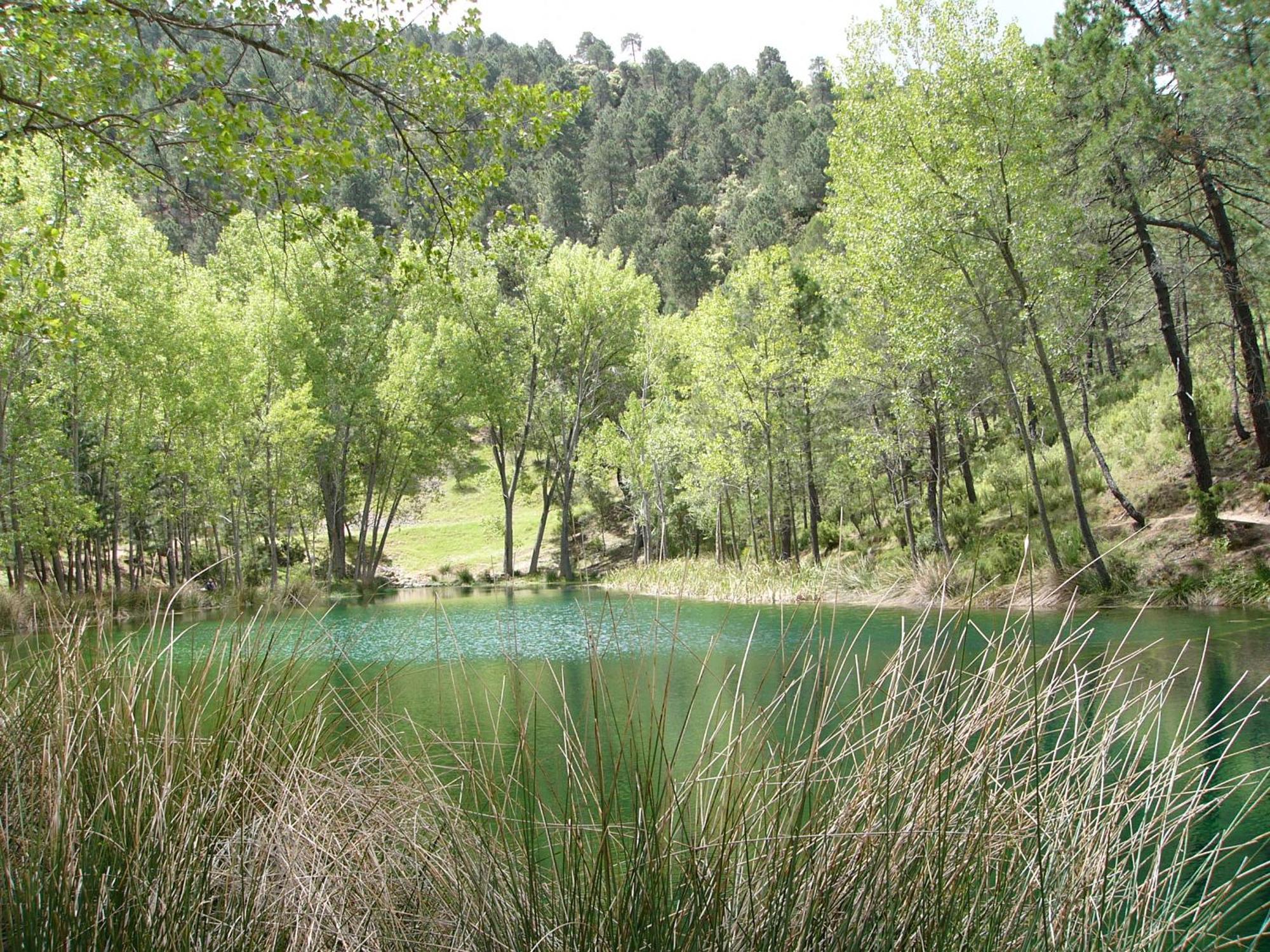 Vila El Enebro Villaverde De Guadalimar Exteriér fotografie
